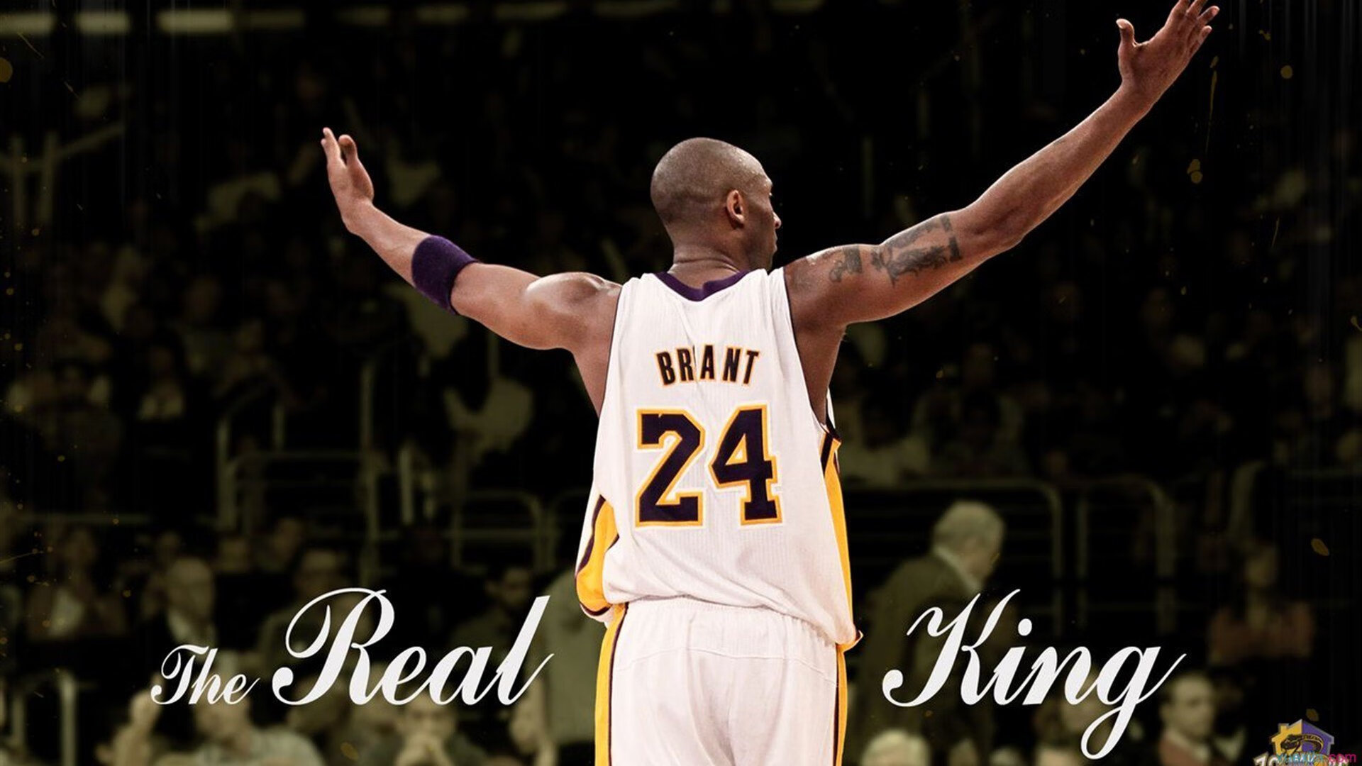 世界杯比赛场馆建设全部完成，世界杯比赛场地长度,宽度为多少米